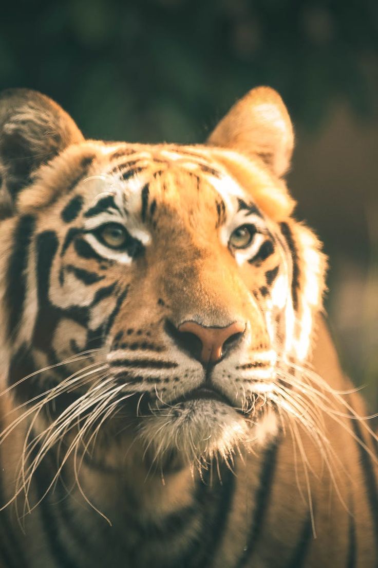 5326ee9f6796cb0033c4b068f985ae69