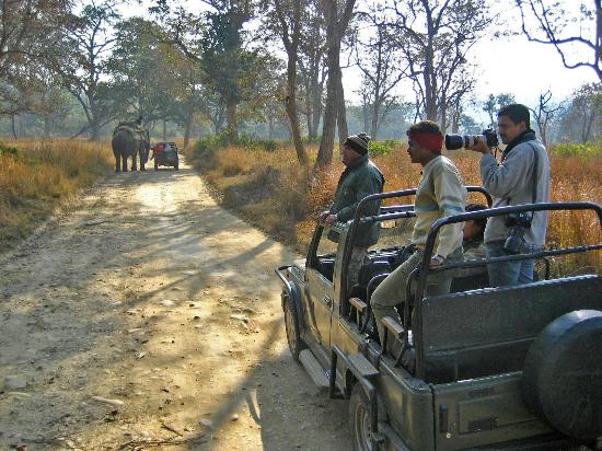 jeep safari in jim corbett