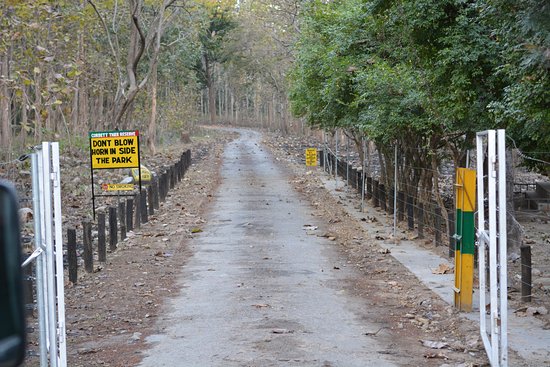corbett national park safari