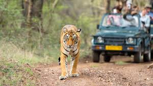 jim corbett jeep safari